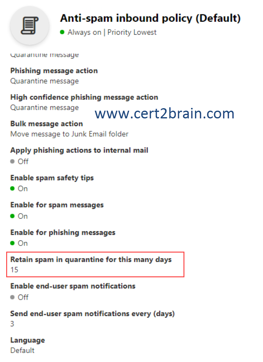 Exam MS-203 Vce Format